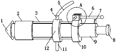 Fertilization and pesticide application device for yellow ginger planting