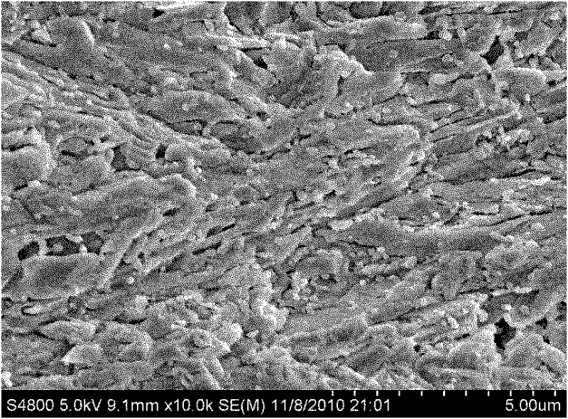 CaO-MgO-Al2O3-SiO2 microcrystalline glass and preparation method thereof