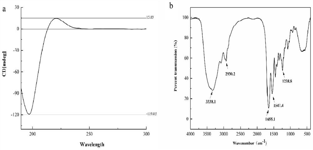 Fish skin-derived medical collagen membrane with compact outer layer and loose inner layer and preparation method of medical collagen membrane