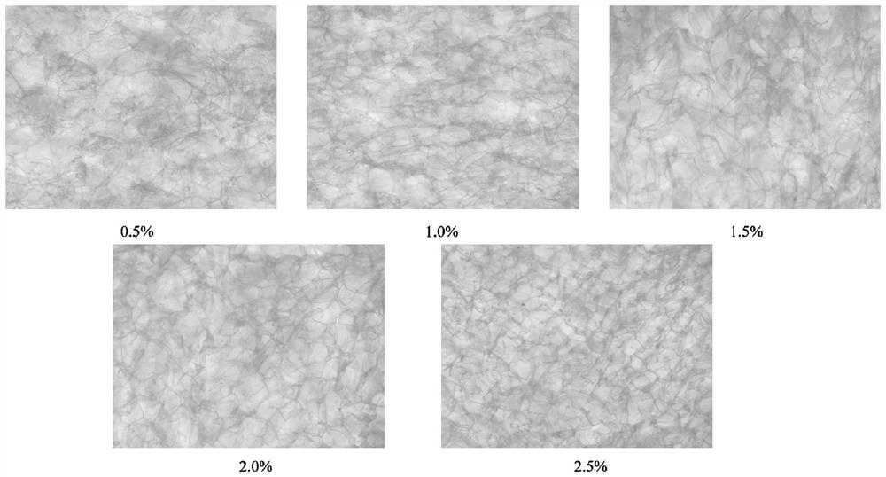 Fish skin-derived medical collagen membrane with compact outer layer and loose inner layer and preparation method of medical collagen membrane