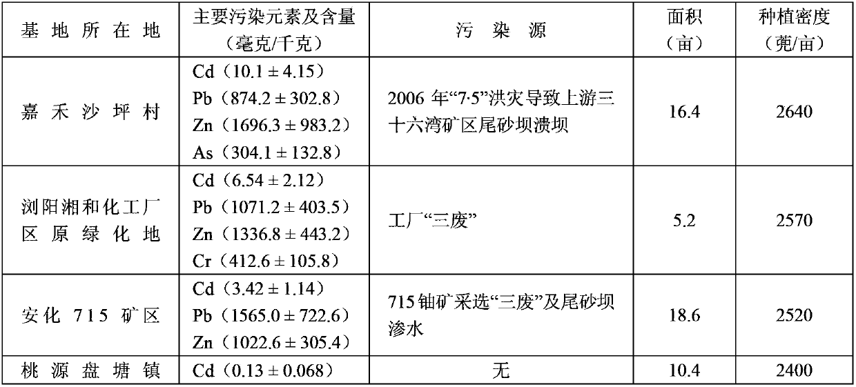 Method for planting ramie in soil seriously contaminated by heavy metal