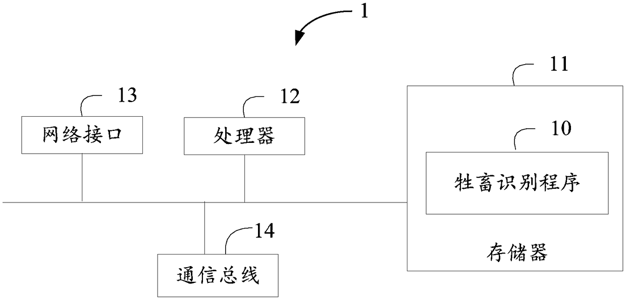 Livestock identification method, device and computer-readable storage medium