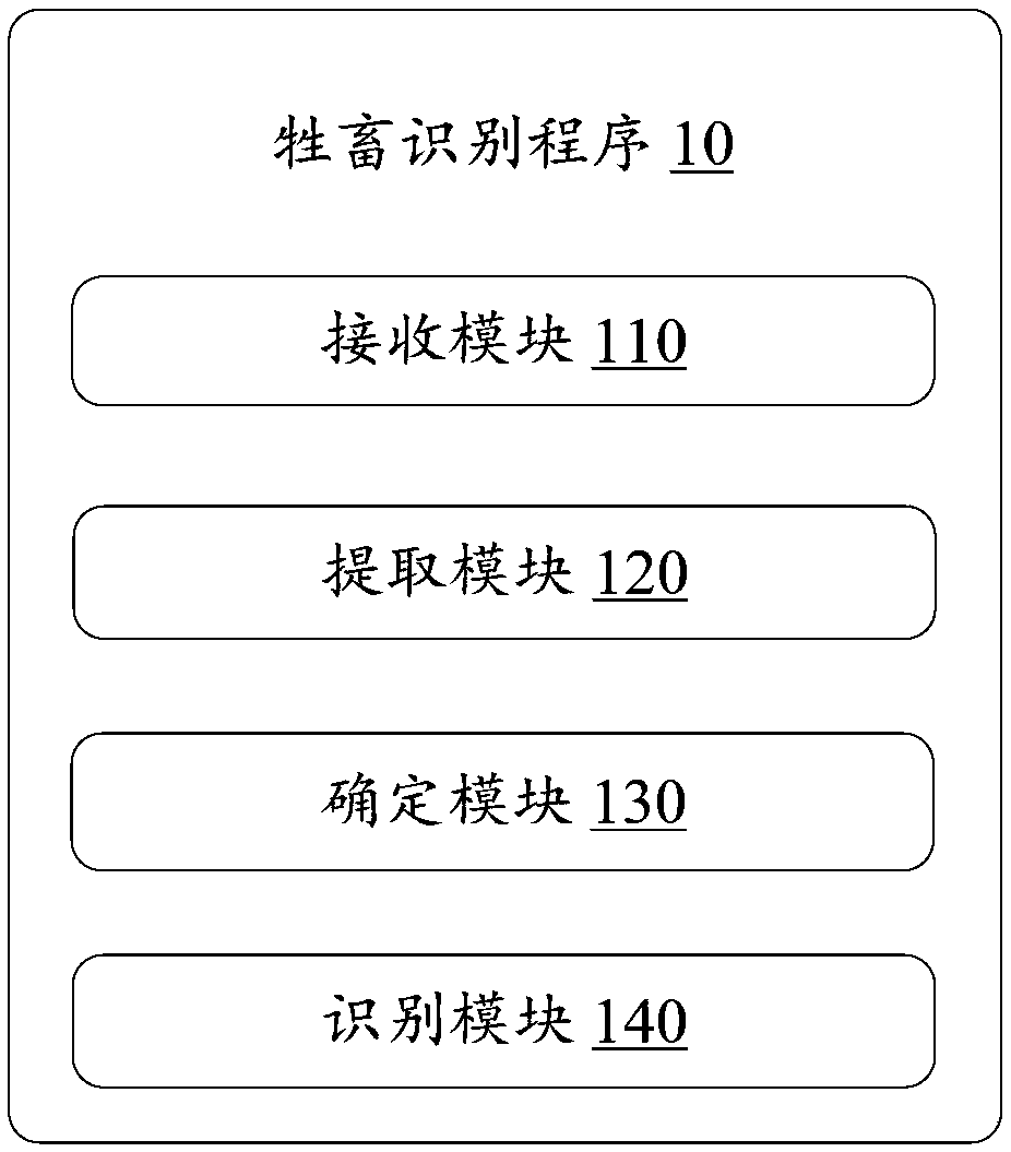 Livestock identification method, device and computer-readable storage medium