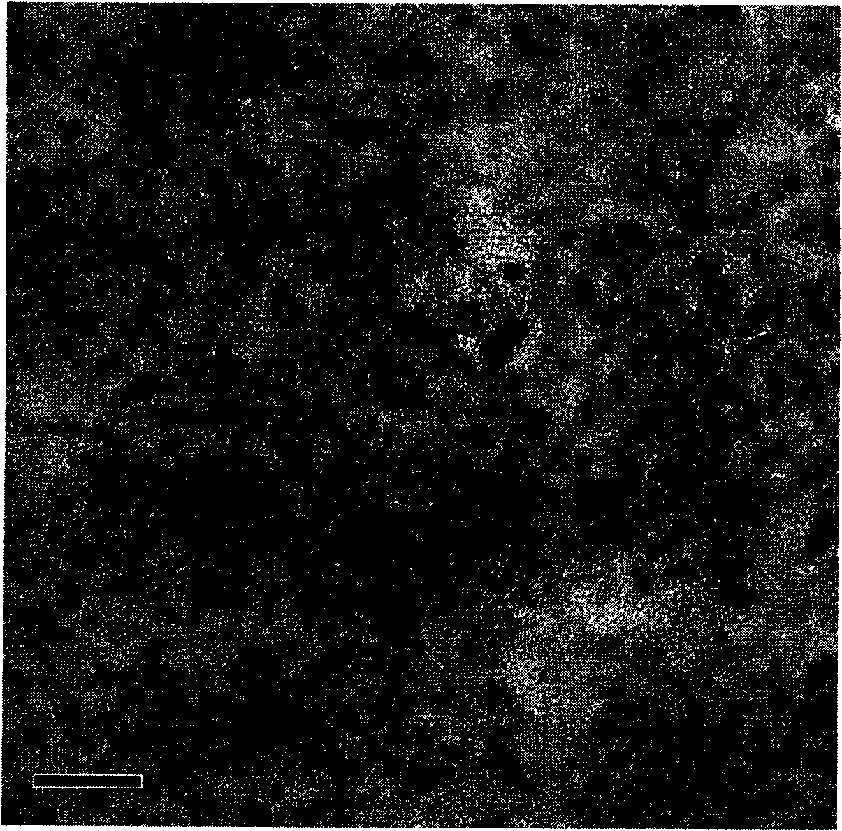 Preparation method of optical activity layer of polymer solar cell