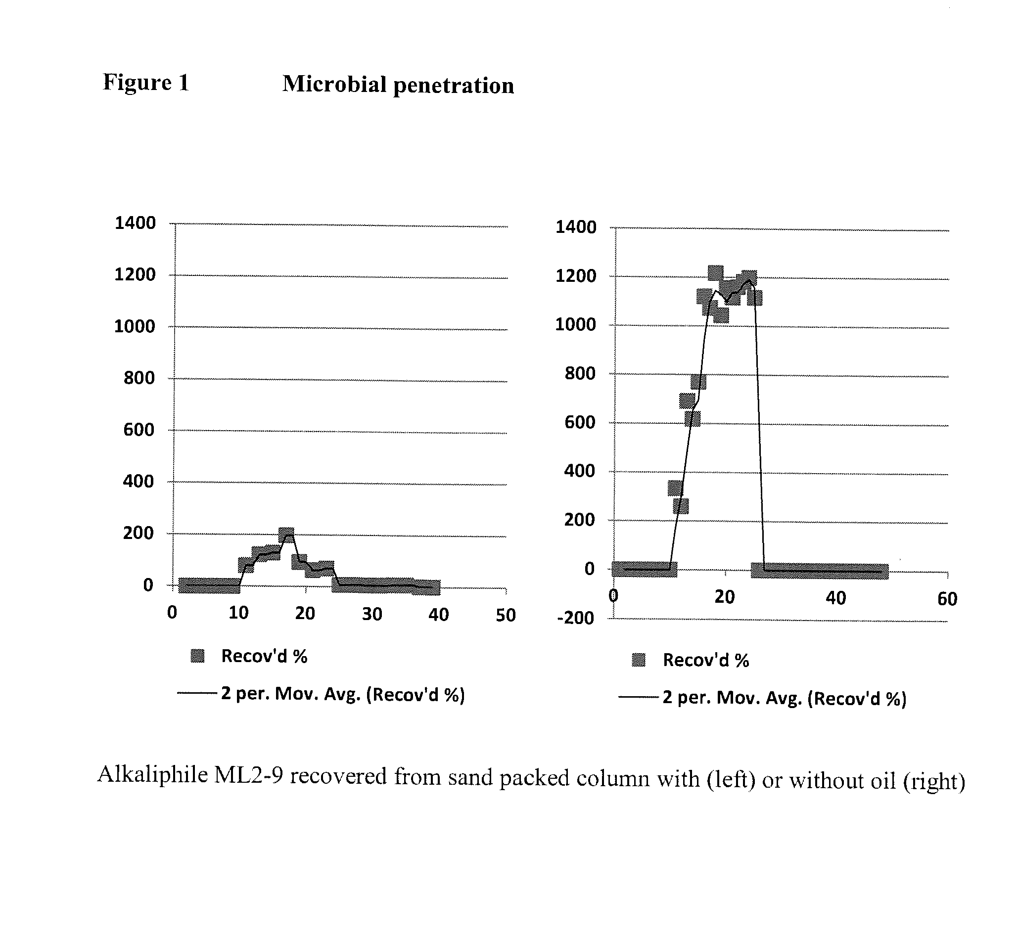 Microbial enhanced oil recovery method