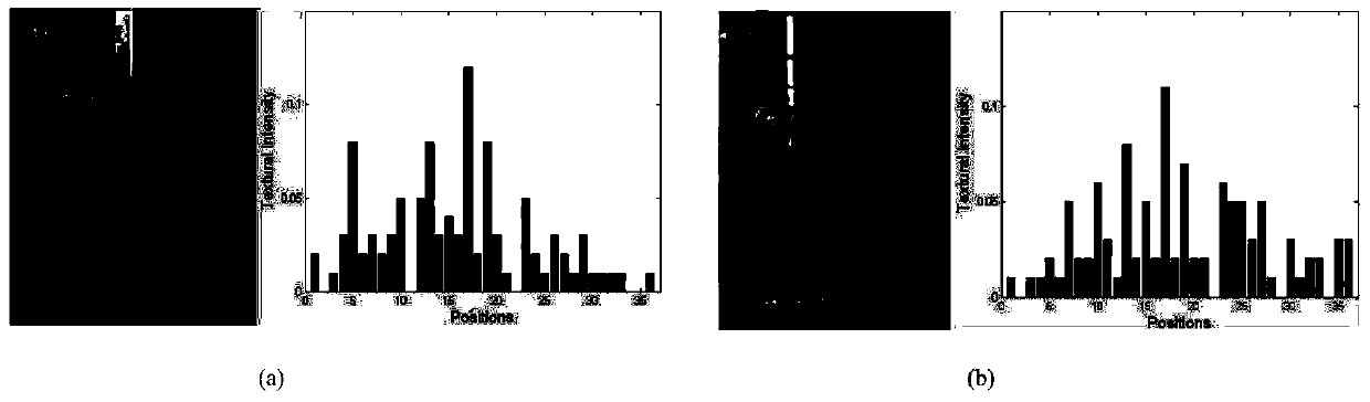 A Non-overlapping Viewshed Target Matching Method Based on Modified Weighted Bipartite Graph