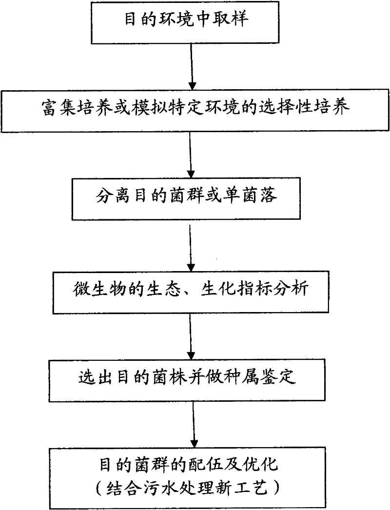 Novel chromatographic carrier reactor for sewage disposal