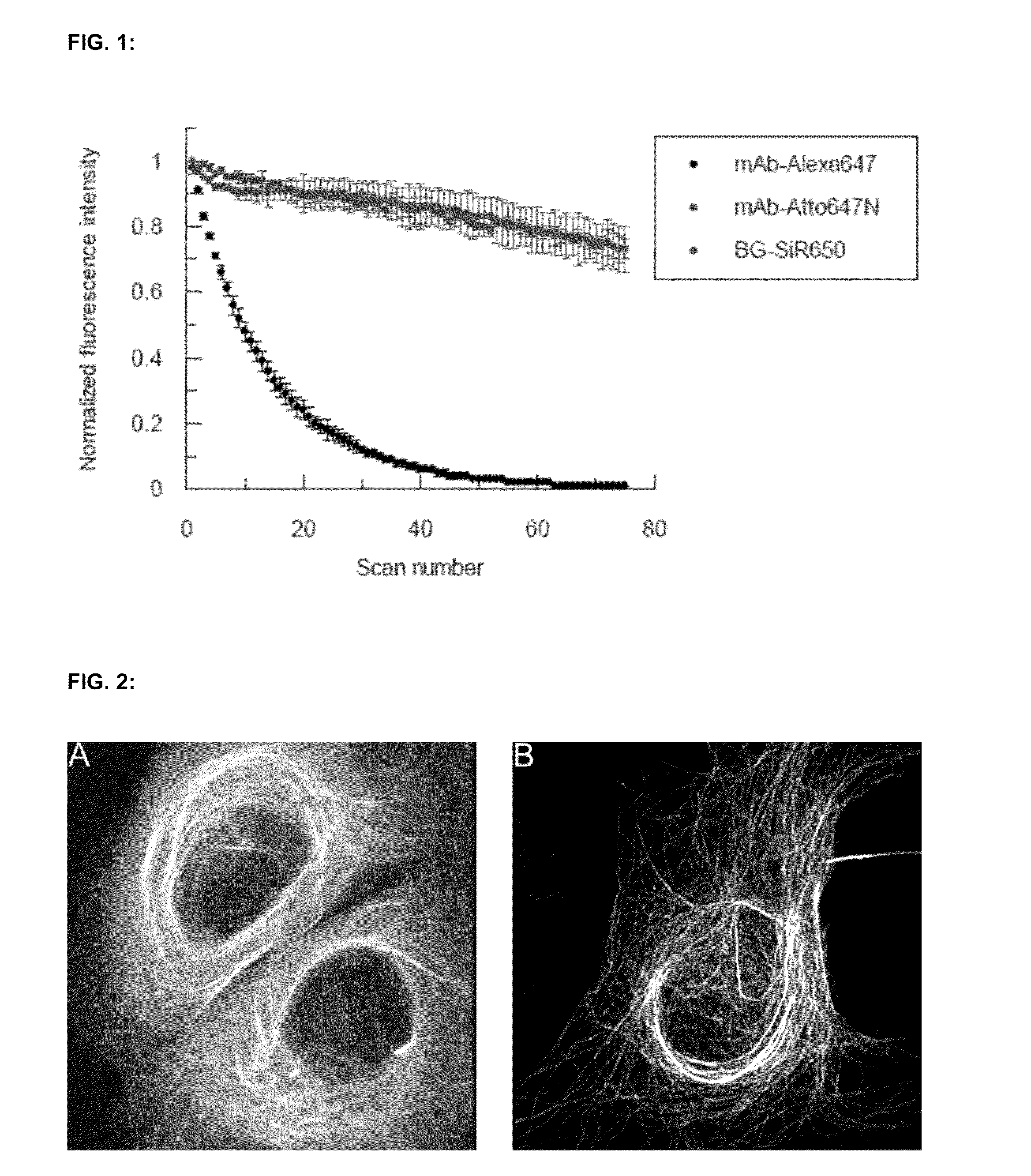 Cell permeable, fluorescent dye