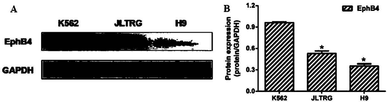 Application of Vandetanib to preparation of targeted EphB4 anti-tumor drug