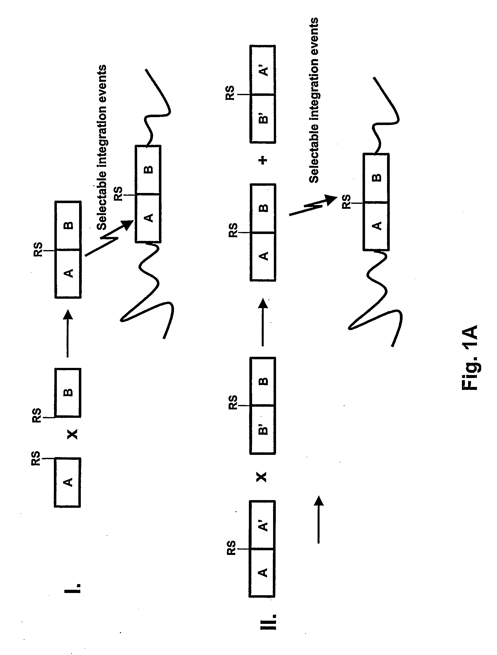 Plant transformation with in vivo assembly of a sequence of interest