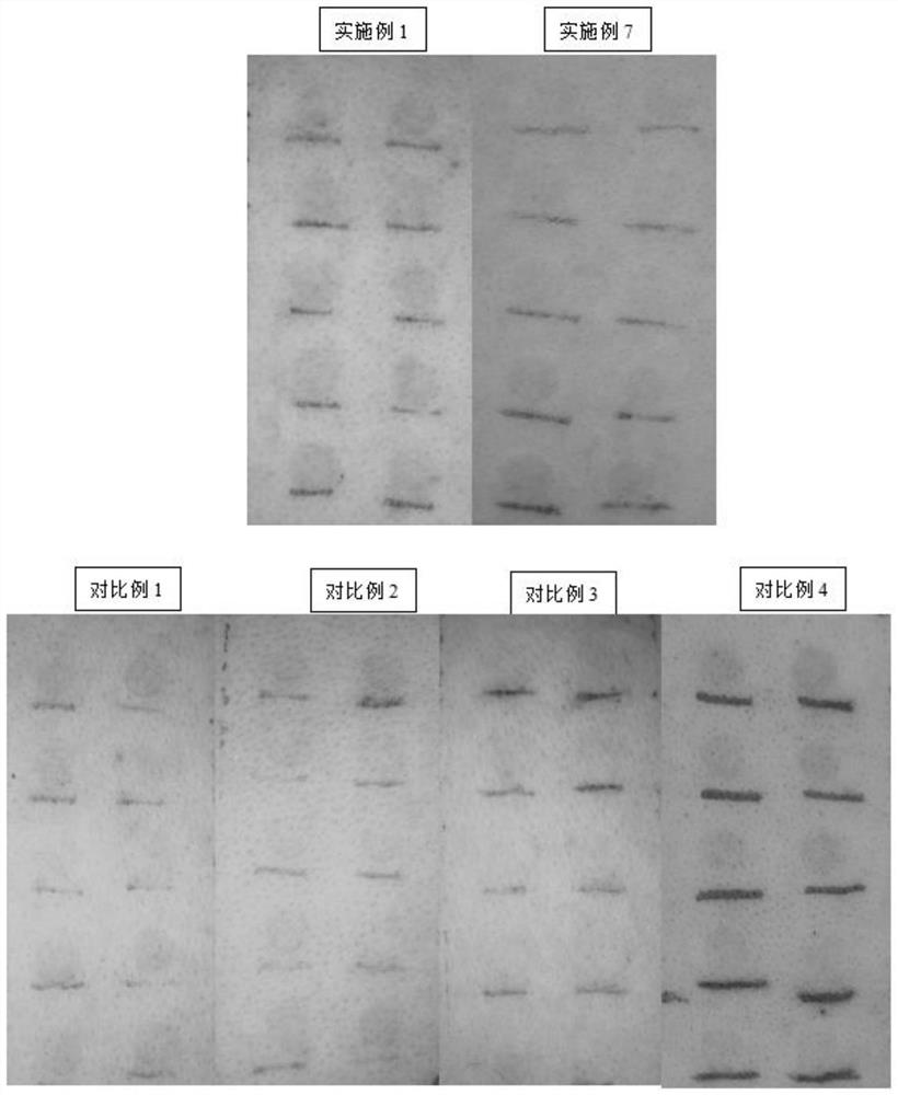 Gel composition, patch and application thereof