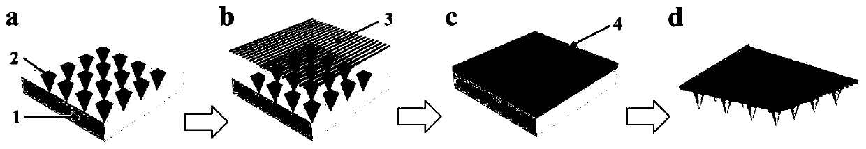 Conductive micro-needle patch integrated with myocardial cells derived from induced pluripotent stem cells and preparation method for conductive micro-needle patch and application of conductive micro-needle patch