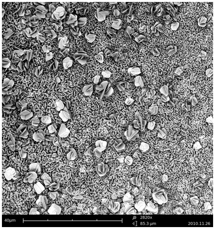 Preparation method of three-dimensional TiO2 crystal film