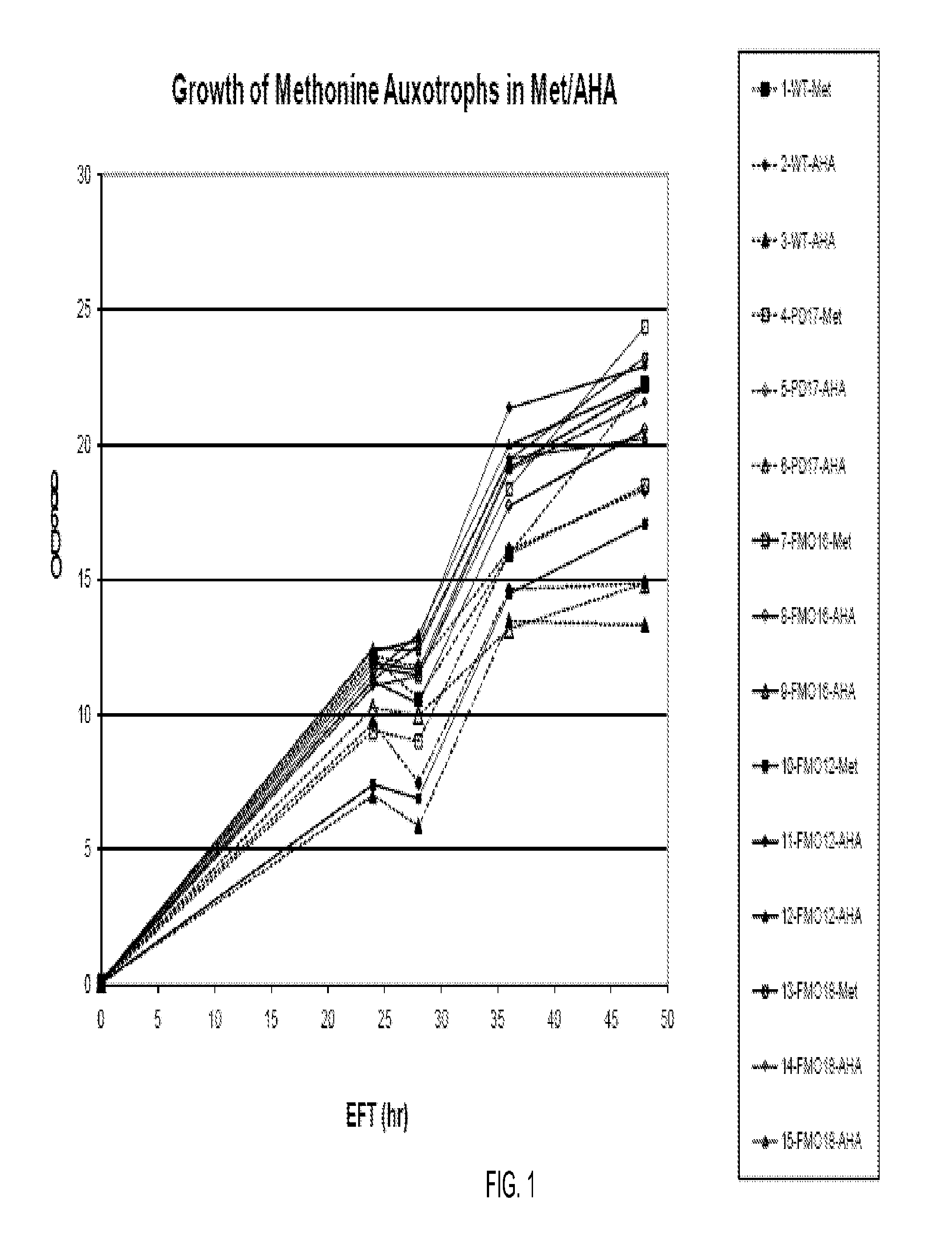 Production Of Recombinant Proteins Utilizing Non-Antibiotic Selection Methods And The Incorporation Of Non-Natural Amino Acids Therein