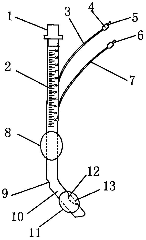 Single-lumen double-bag bronchial intubation