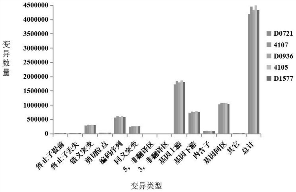 A method for gene mapping of Brassica napus wax powder based on whole genome resequencing