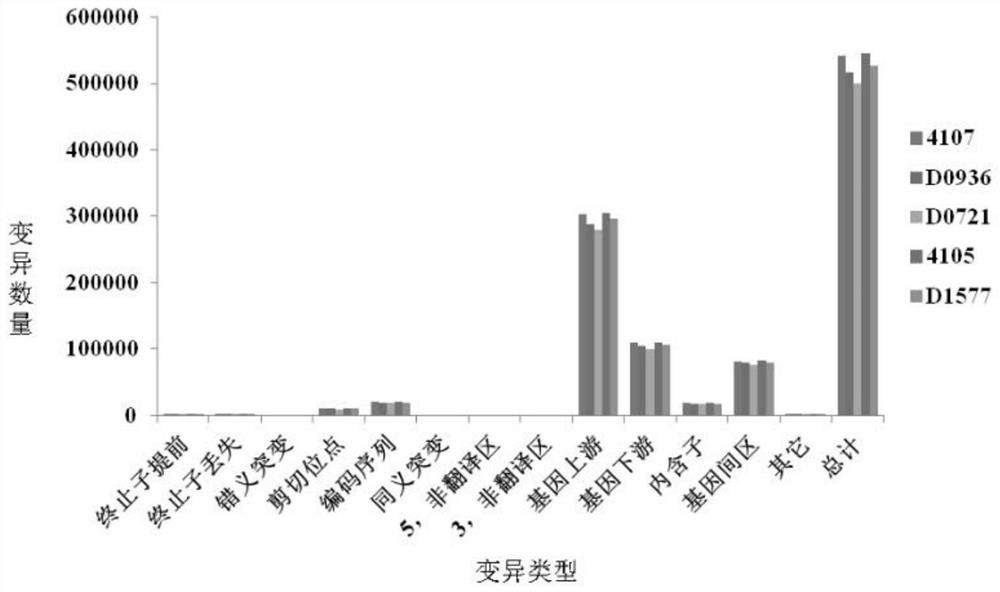 A method for gene mapping of Brassica napus wax powder based on whole genome resequencing