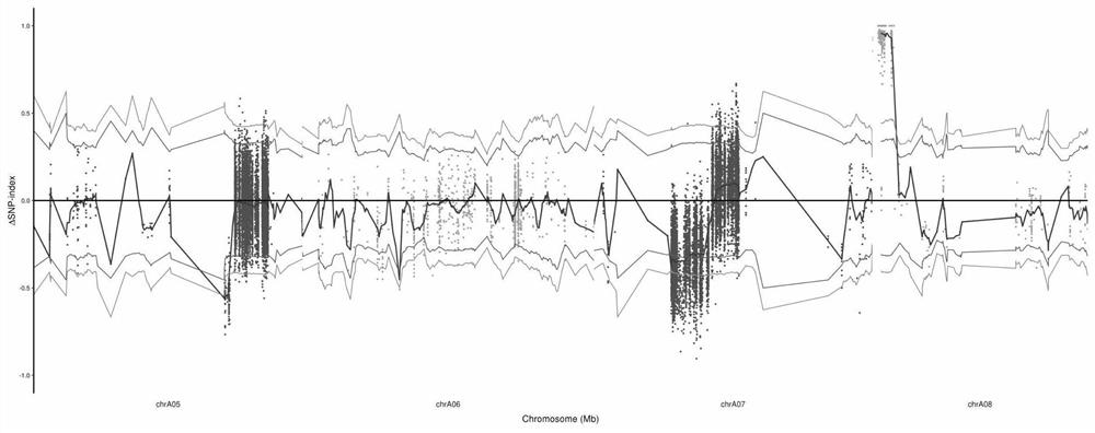 A method for gene mapping of Brassica napus wax powder based on whole genome resequencing