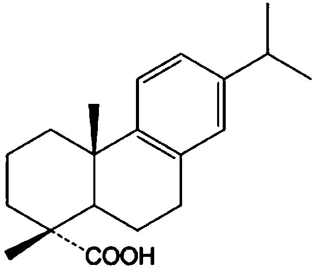 Skin Anti-aging composition containing dehydrogenated abietic acid and compound k