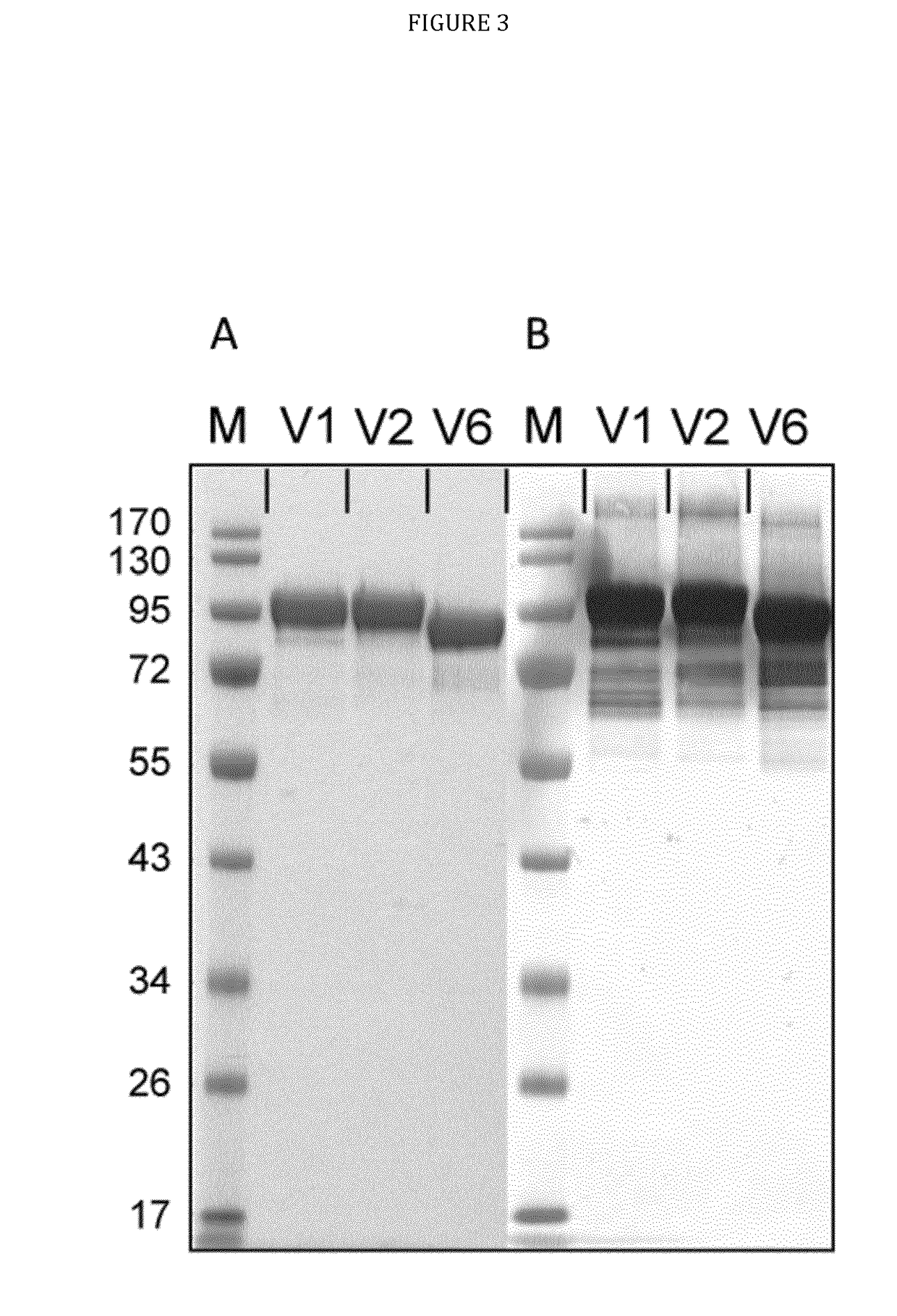 Three-component-multistage malaria vaccine