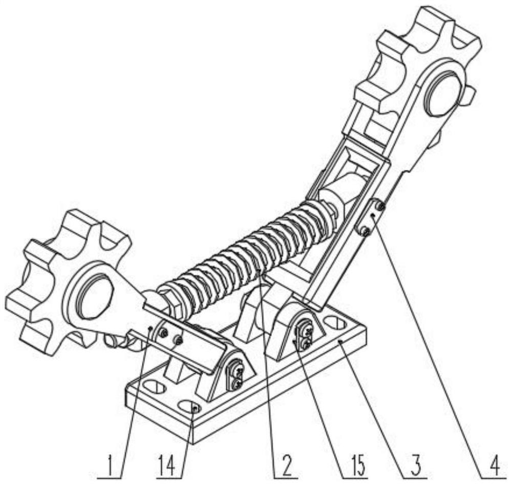 Flexible chain tensioning device