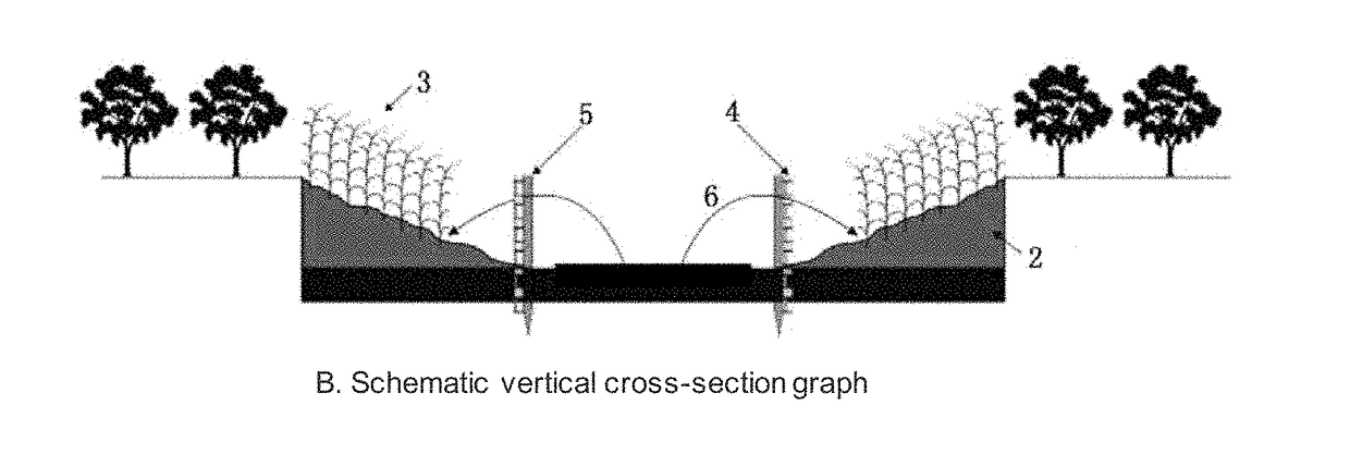 Ecological Remediation Method for Controlling Sulphur Pollution inBlack and Odorous Sludge of Rivers