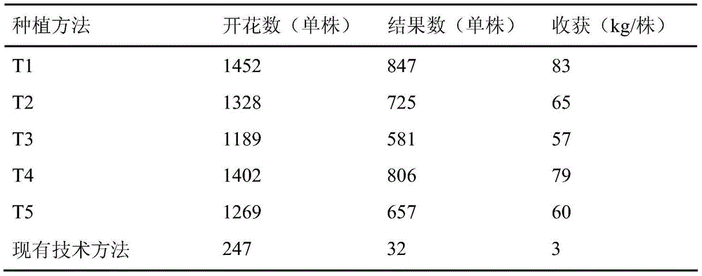 Cultivation method for facilitating yield increase of mangosteen