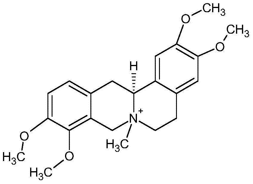 Tetrahydropalmatine derivative