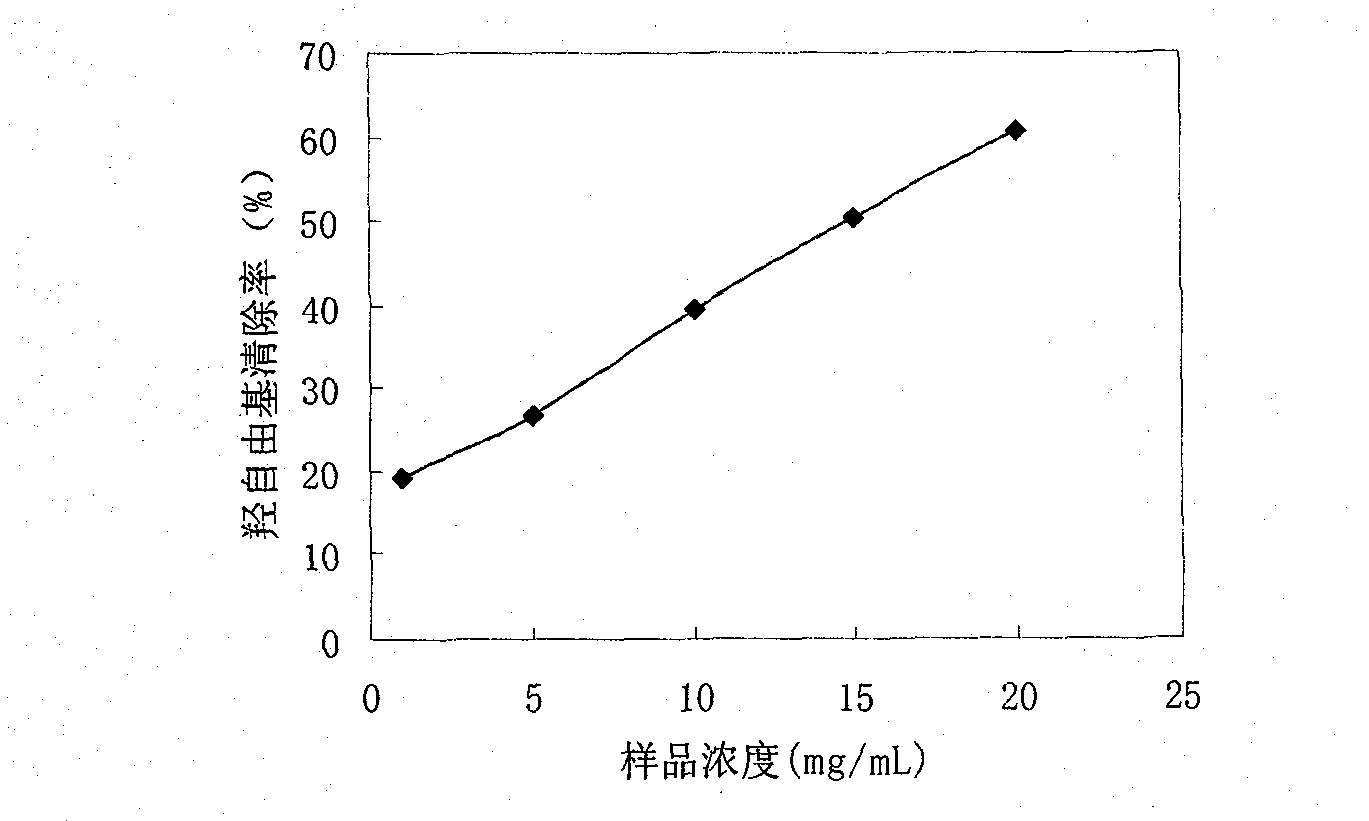 Preparation method and application of anti-oxidation Venerupis philippinarum enzymatic extract