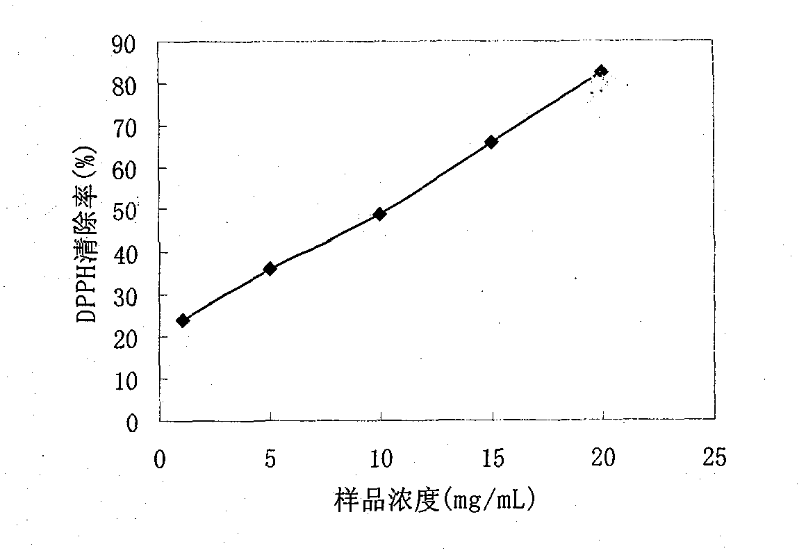 Preparation method and application of anti-oxidation Venerupis philippinarum enzymatic extract