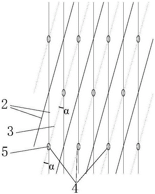 Cross drilling constrained expansion network anti-reflection gas drainage method