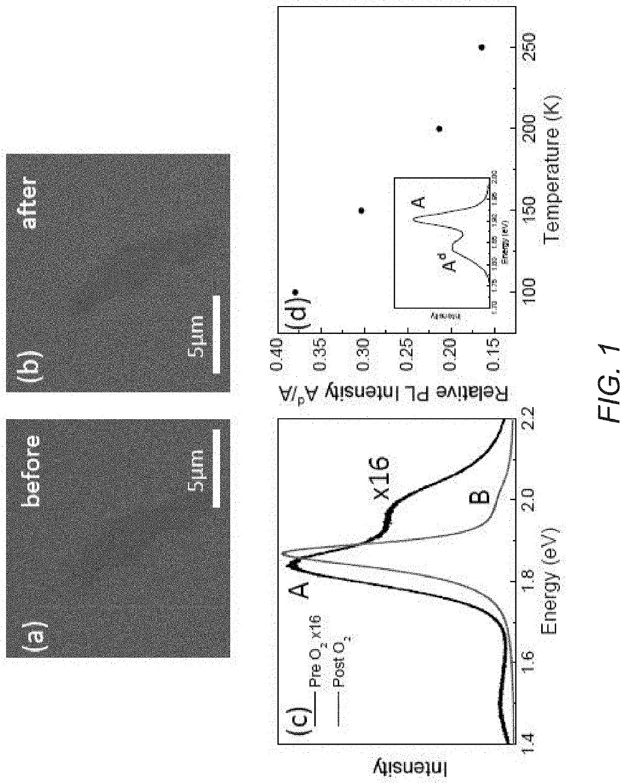 Bulk direct gap MoS2 by plasma induced layer decoupling