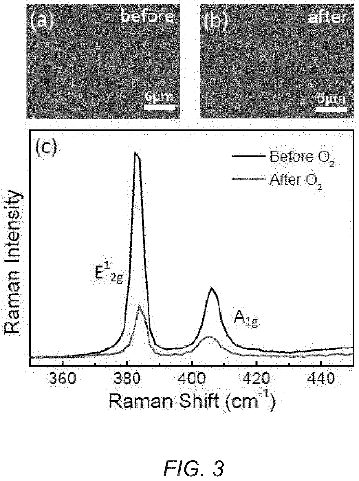 Bulk direct gap MoS2 by plasma induced layer decoupling