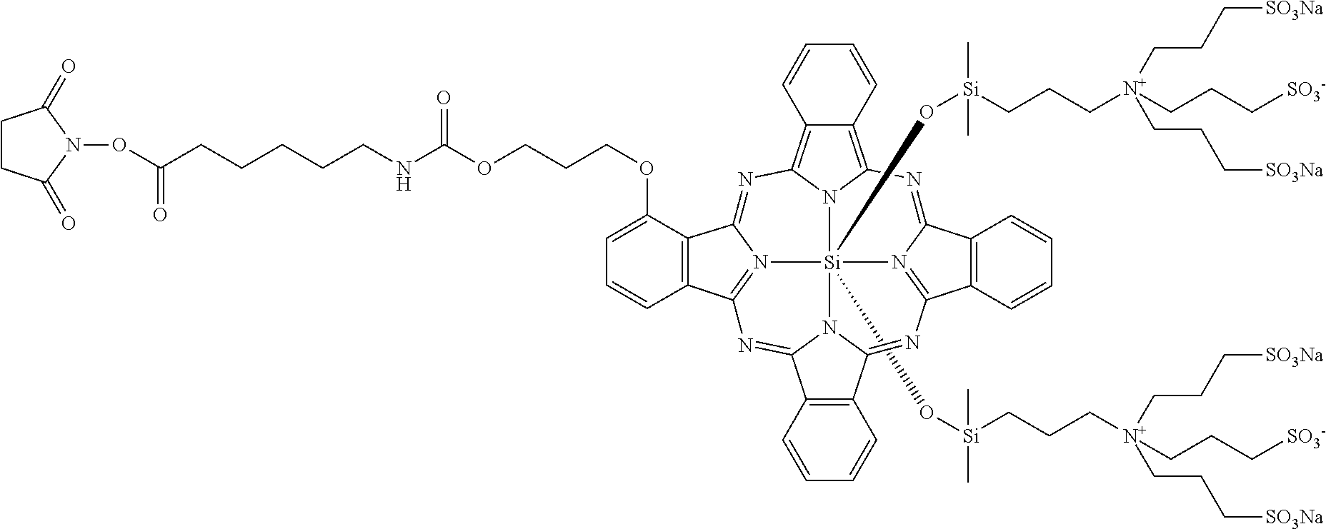 Therapeutic and diagnostic probes