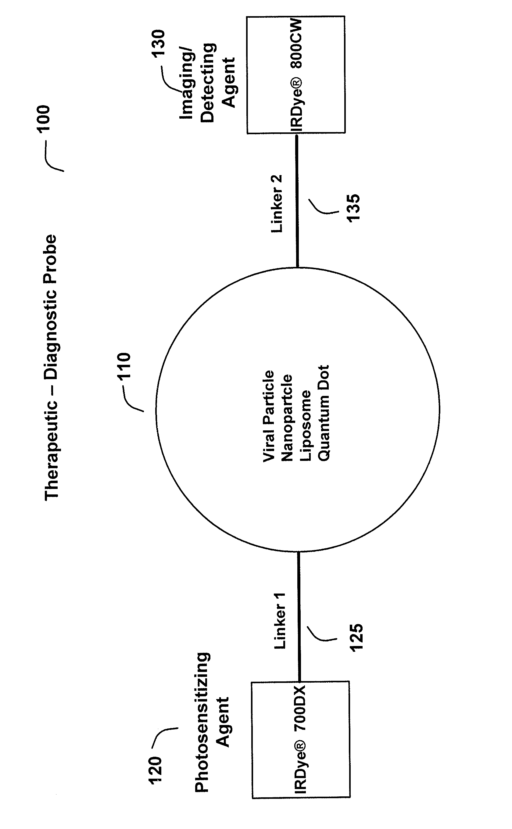 Therapeutic and diagnostic probes