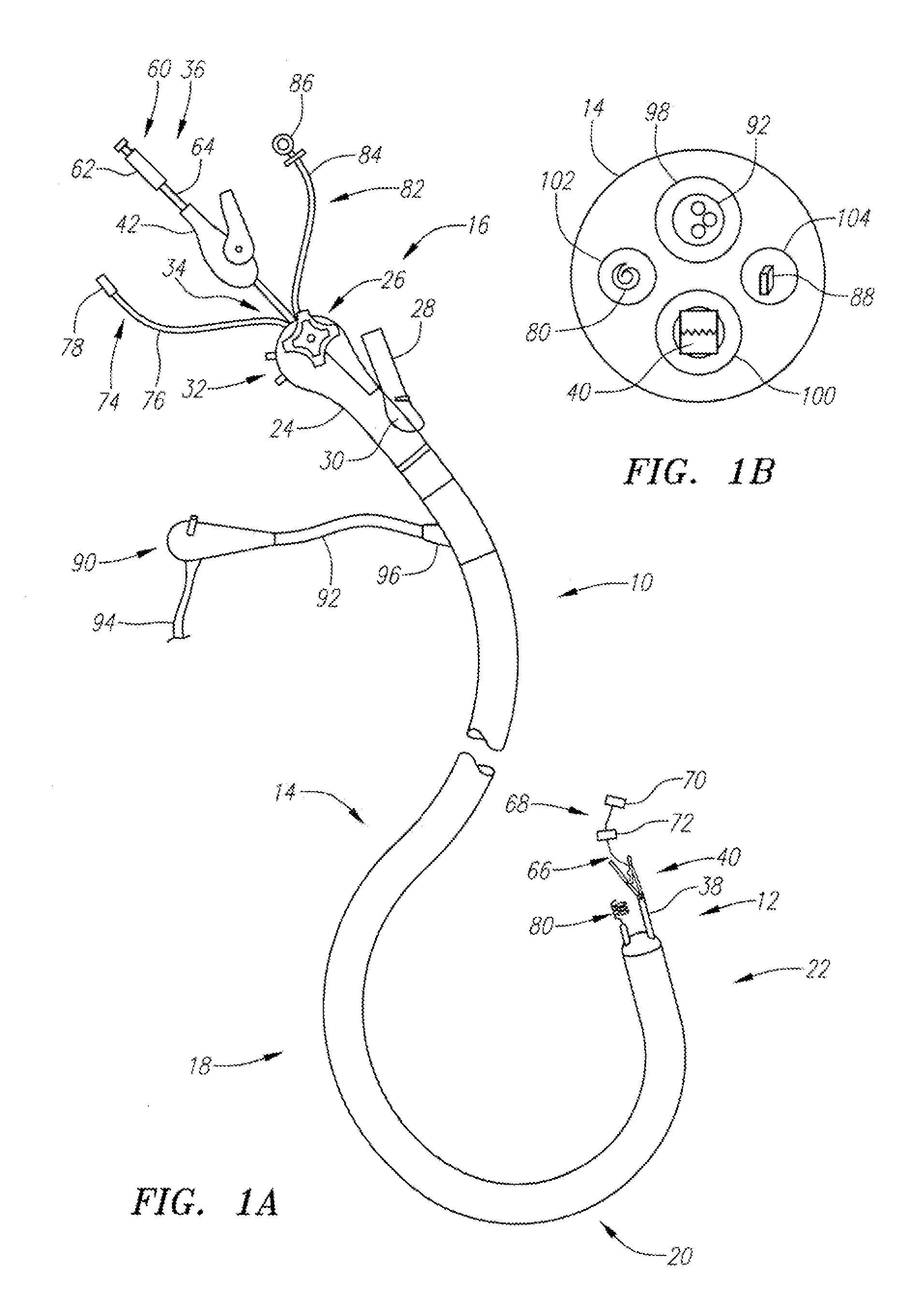 Endoscopic instrument management system