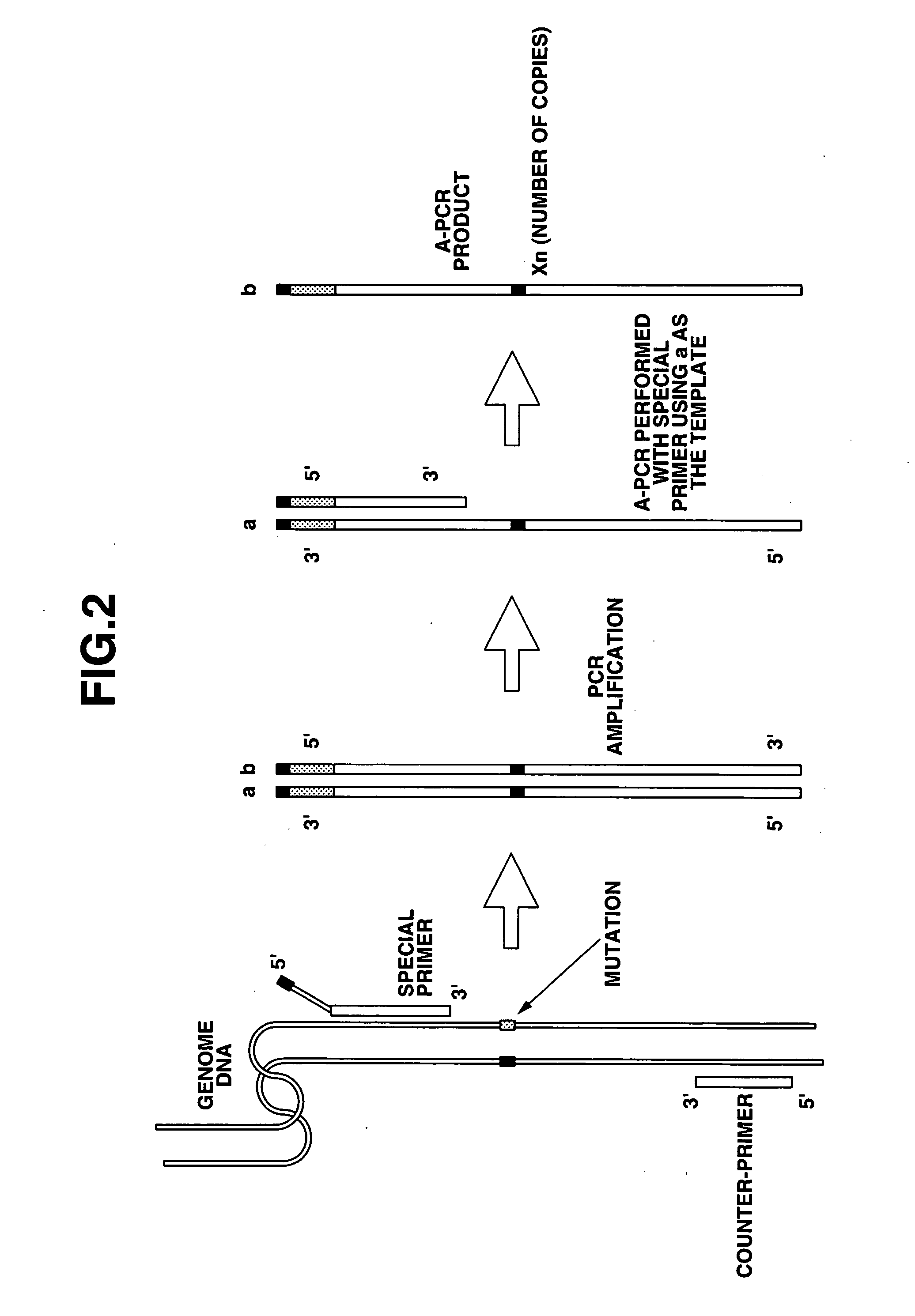 Method of detecting base mutation