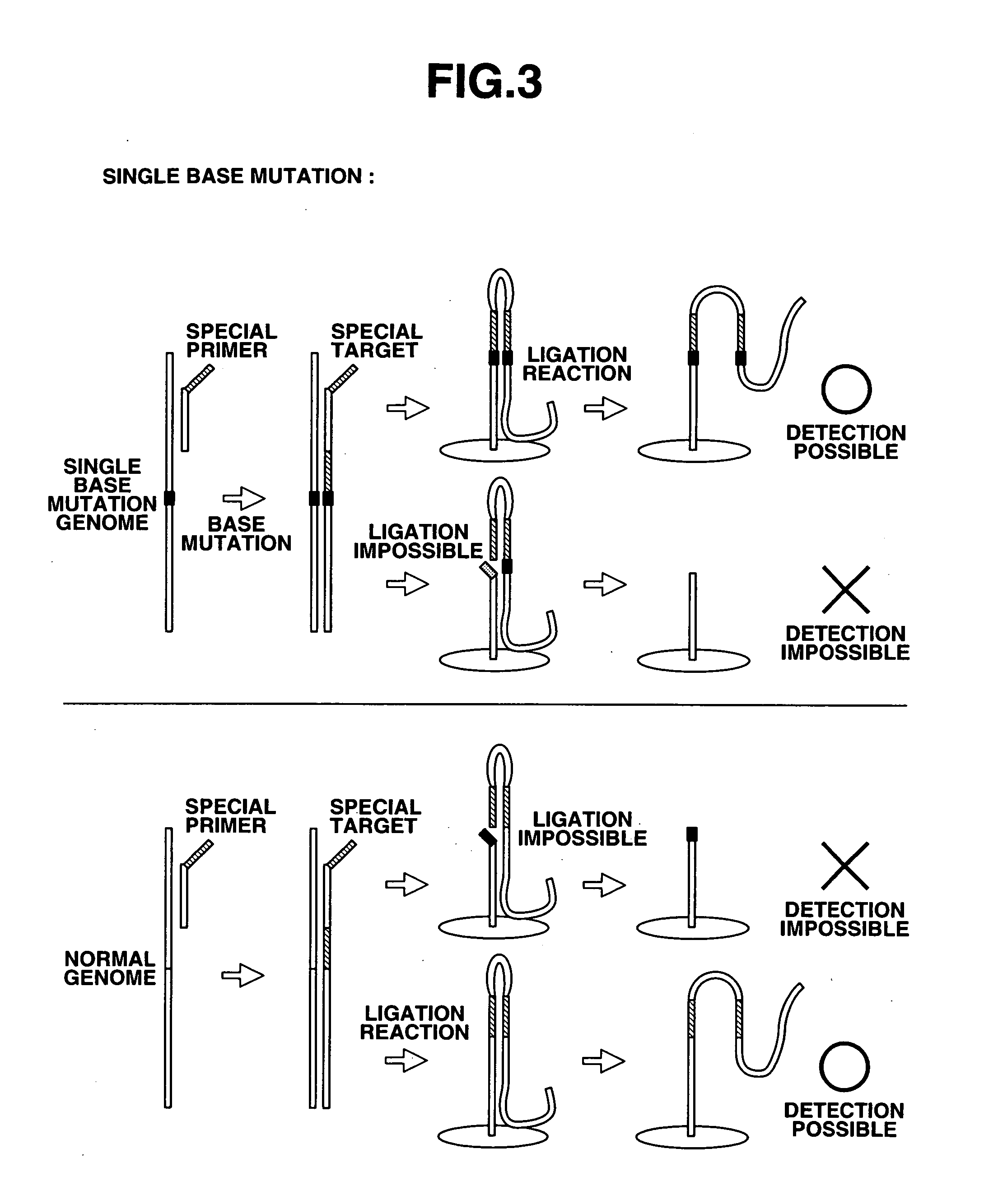 Method of detecting base mutation