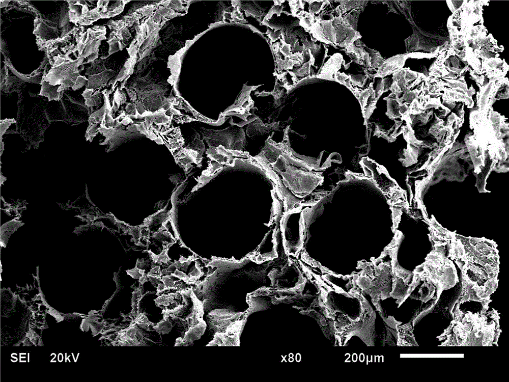 Preparation method of bone repair scaffold with osteoid porous regenerative channel structure