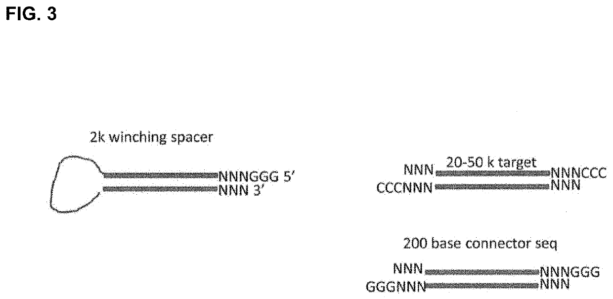 Methods and compositions for delivery of molecules and complexes to reaction sites