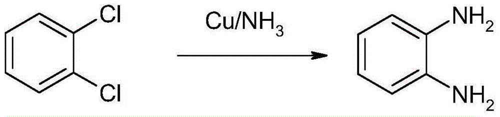 Method for synthesizing and preparing o-phenylenediamine from orthodichlorobenzene