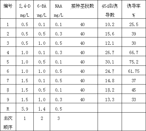 Industrialized production method for anoectochilus roxburghii seedlings