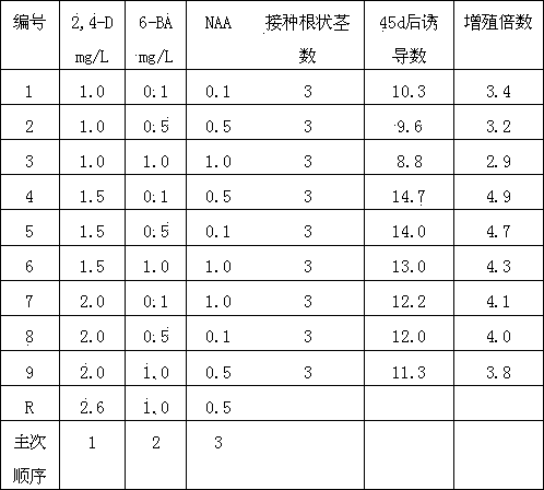 Industrialized production method for anoectochilus roxburghii seedlings