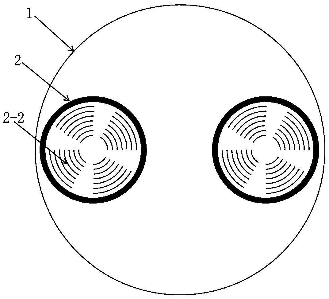 Vacuum absorbing template for semiconductor wafer polishing device and polishing device