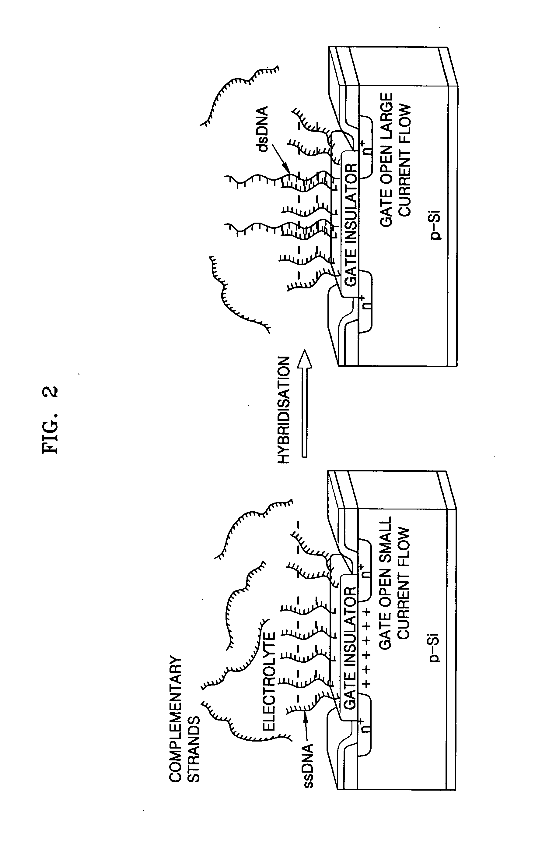 FET-type biosensor with surface modification