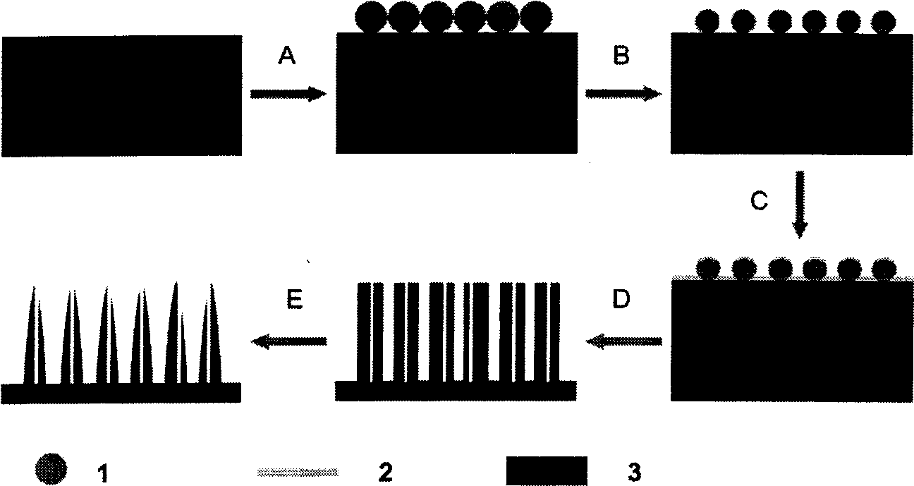 Method for preparing silicon hollow nano-cone array