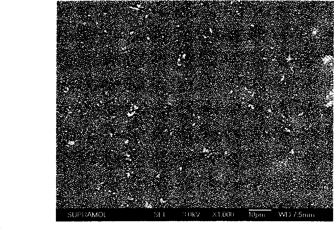 Method for preparing silicon hollow nano-cone array