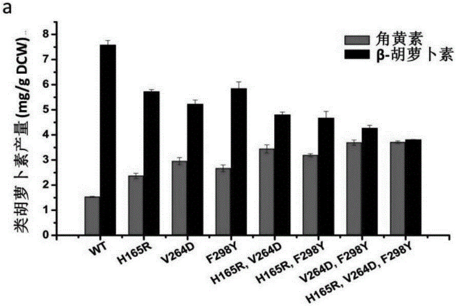 [Beta]-carotenoid ketolase mutant, recombinant expression vector, genetic engineering bacterium and application thereof