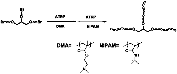 Preparation method of multifunctional medicinal polylactic acid (PLA) derivative ABC triblock polymer