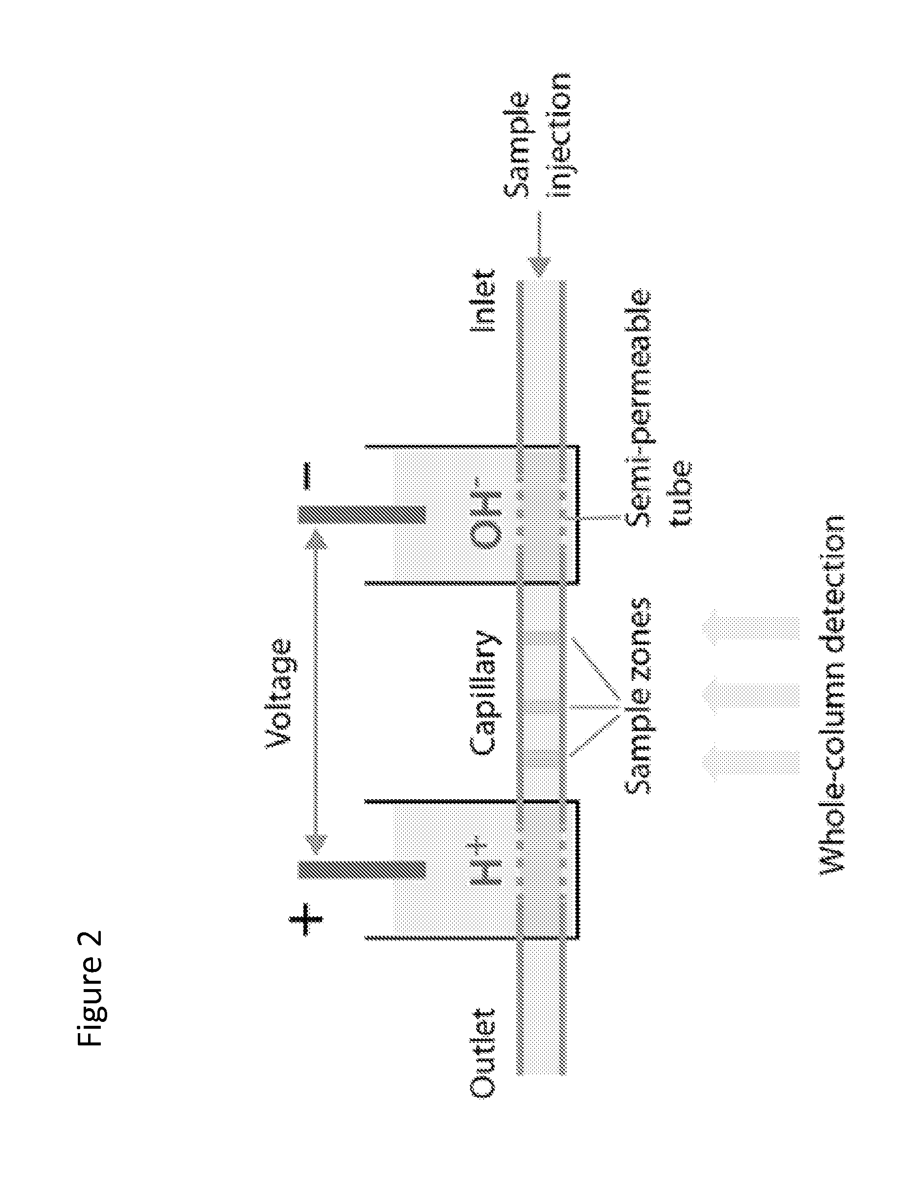 Dual wavelength isoelectric focusing for determining drug load in antibody drug conjugates